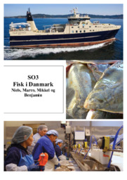 Fisk i Danmark | SO