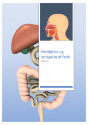 Fordøjelse og optagelse af føde | Biologi