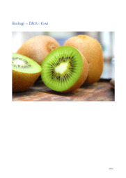 DNA i Kiwi | Biologi rapport | 10 i karakter