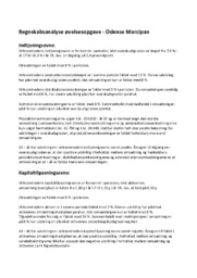 Regnskabsanalyse øvelsesopgave – Odense Marcipan