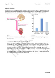 Hjertets frekvens | Biologi Rapport