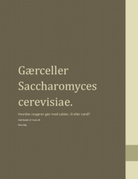 Gærceller | Saccharomyces cerevisiae | Biologi Rapport