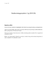 Etniske Minoriteter | SRP