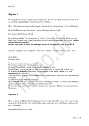 Miguel el Cubano | Spansk Opgave