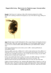 Hjerterytme hos Daphnia magna- Senergi – koffein & nikotin