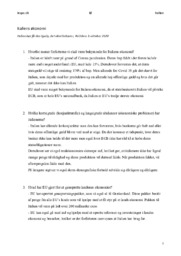 Italiens økonomi | International Økonomi Opgave