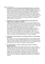 N2-fiksering & Rhizobium-bakterier | Biologi rapport