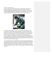 Mascot A/S | Virksomhedsøkonomi