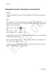 Fotosyntese og lysintensitet | Biologi Rapport