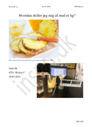 Hvordan skiller jeg mig af med et lig? | Biologi Rapport