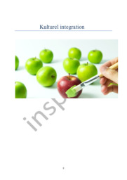 Kulturel integration | SRO