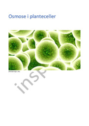 Osmose i planteceller | Bioteknologi