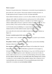 Hvad er enzymer? | Biologi