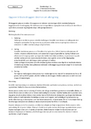 Becks Bryggeri i Bremen Ølbrygning | Afsætning Opgave