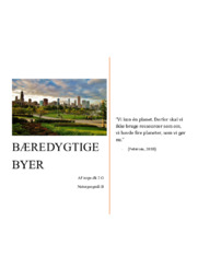 Bæredygtige Byer | Naturgeografi Opgave