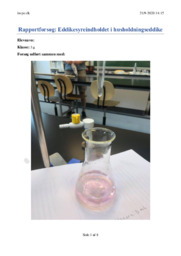 Eddikesyreindholdet i husholdningseddike | Rapportforsøg