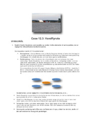 Case 12.3: Vandflyrute | Afsætning