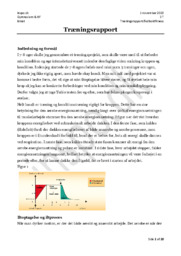 Træningsrapport: Fodboldfitness | Idrætsprojekt