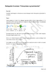Fotosyntese og lysintensitet | Retteguide til øvelsen