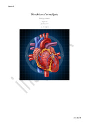 Svinehjerte Dissektion | Biologi Rapport