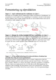 Fermentering og Ølproduktion | Bioteknologi Eksamensopgave