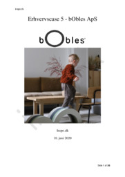 Erhvervscase 5 – bObles ApS | +8000 ord