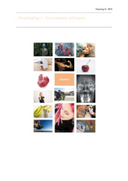 Iscenesættelse af kroppen | Teknologi opgave