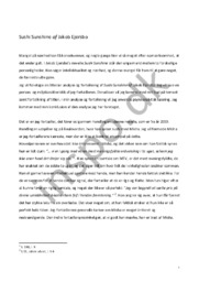 Sushi Sunshine analyse | Litterær analyse | Jakob Ejersbo