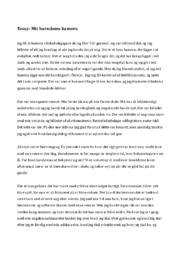 Essay: Mit barndoms kamera