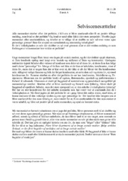 Selviscenesættelse | Essay