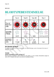 Blodtypebestemmelse | Biologi Rapport