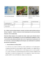 Artsdannelse hos ræve | Biologi