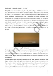 Analyse af Armadillo (00:00 – 14:35)