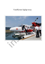 Vandflyrute fagligt essay