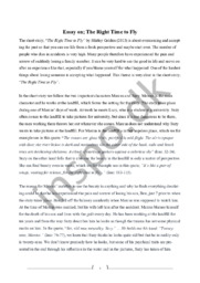 The Right Time to Fly | Essay