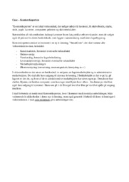 Informatik C Case Kontoreksperten