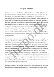 Essay om autofiktion