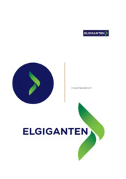 Elgiganten | Virksomhedsøkonomi