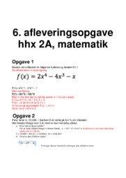 6. afleveringsopgave hhx 2A, matematik
