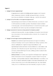 Fordybelsesopgave Segmentering af målgruppe