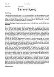 Sammenligne syn på individets ansvar | Samf aflevering