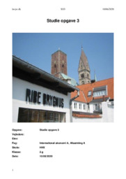 Ribe bryghus ApS | SO3