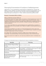 Eksempel på kommentarer til analysen af indtjeningsevnen VØ
