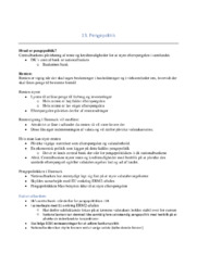 Pengepolitik | noter i IØ