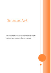 Analyse af Ditur ApS