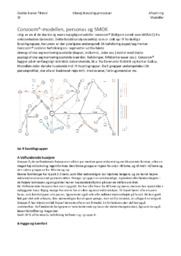 Conzoommodellen, Personas og SMOK
