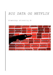Big Data og Netflix | Afsætning