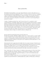 Køn og ligestilling i Danmark | Essay