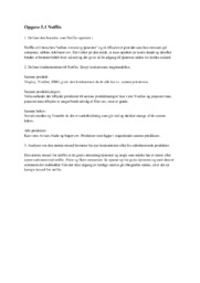 Netflix Opgave 5.1 | Afsætning | Noter