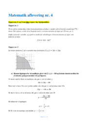Antal bilulykker med personskade | Mat opgave